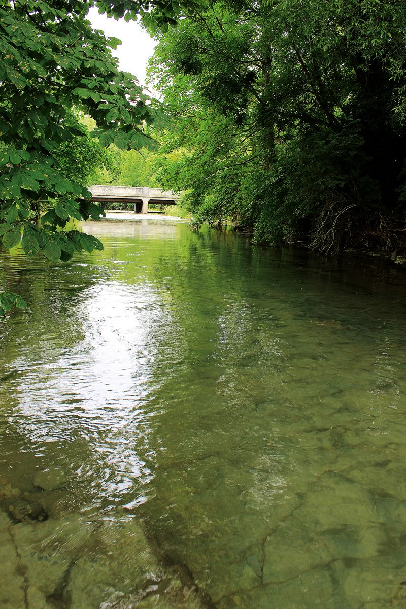 Echaz - Fischereiverein Reutlingen e.V.